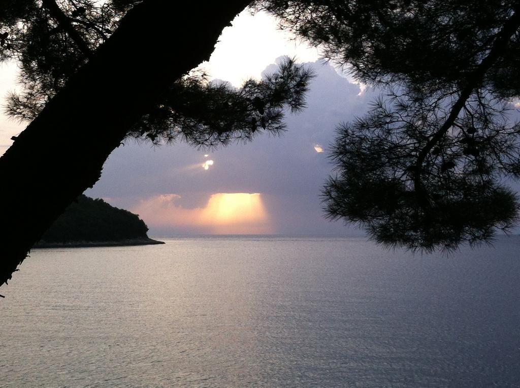 Guesthouse Galeb فيرسار المظهر الخارجي الصورة